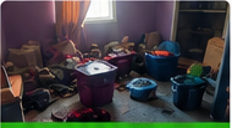 House and apartment cleanouts