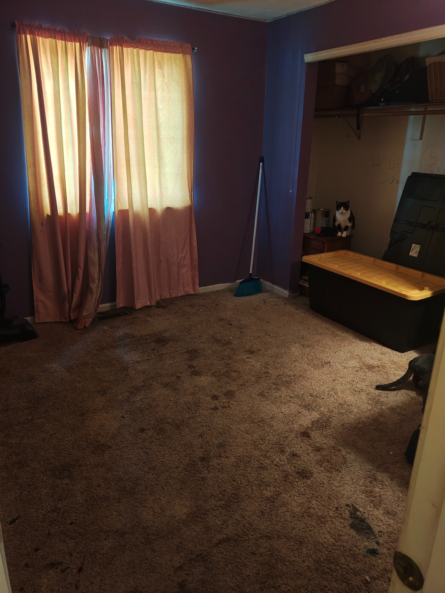 Room after cleanout