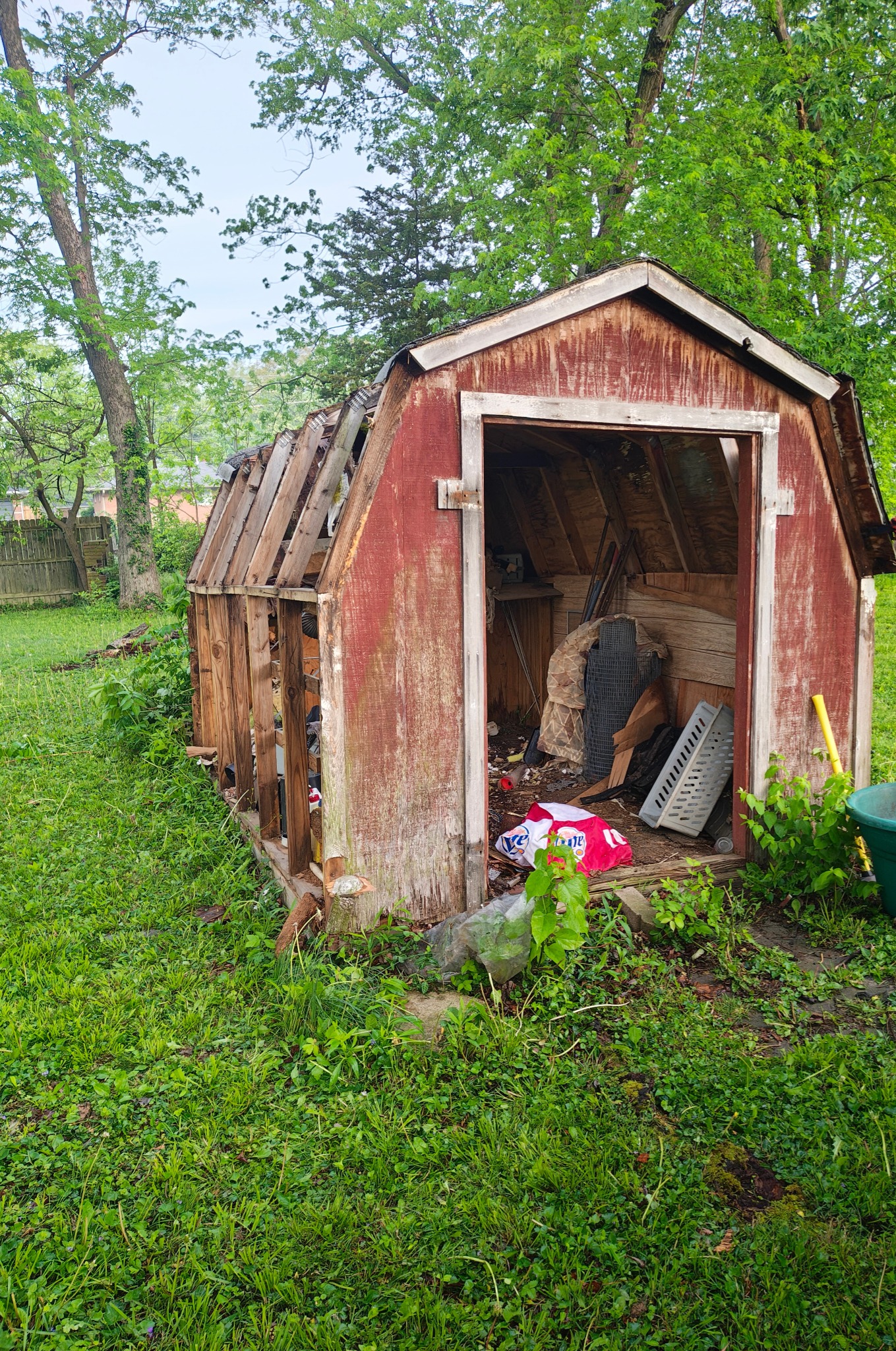 Shed before removal